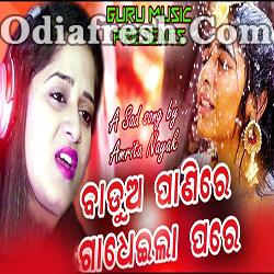 Badua Panire Gadheila Para - Odia Sad Song By Amrita Nayak